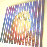 2 picture painting of egg and chick